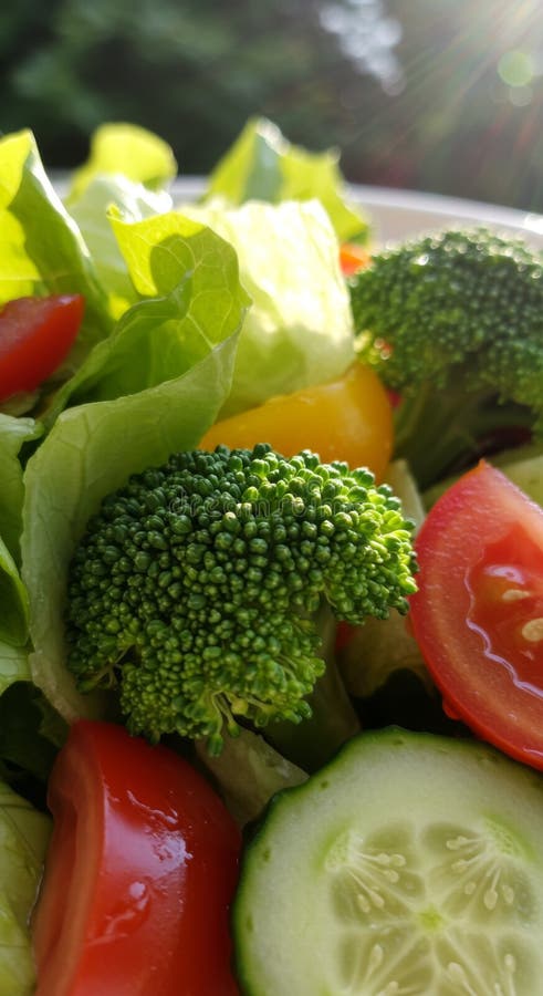 Closeup Vibrant Vegetable Salad with Broccoli and Tomatoes stock illustration