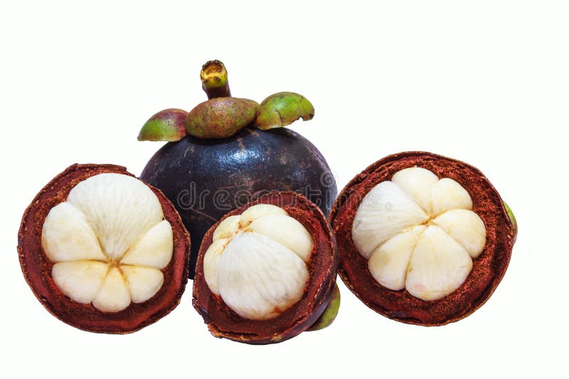 Closeup view of Tropical Fruit Mangosteens isolated on the white background royalty free stock photography Closeup view of Tropical Fruit Mangosteens isolated on the white background royalty free stock photography