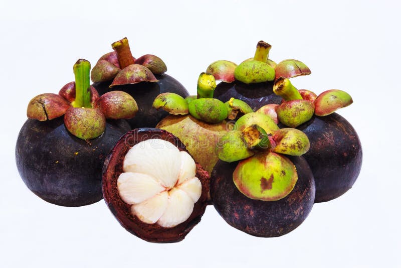 Closeup view of Tropical Fruit Mangosteens isolated on the white background royalty free stock photo Closeup view of Tropical Fruit Mangosteens isolated on the white background royalty free stock photo