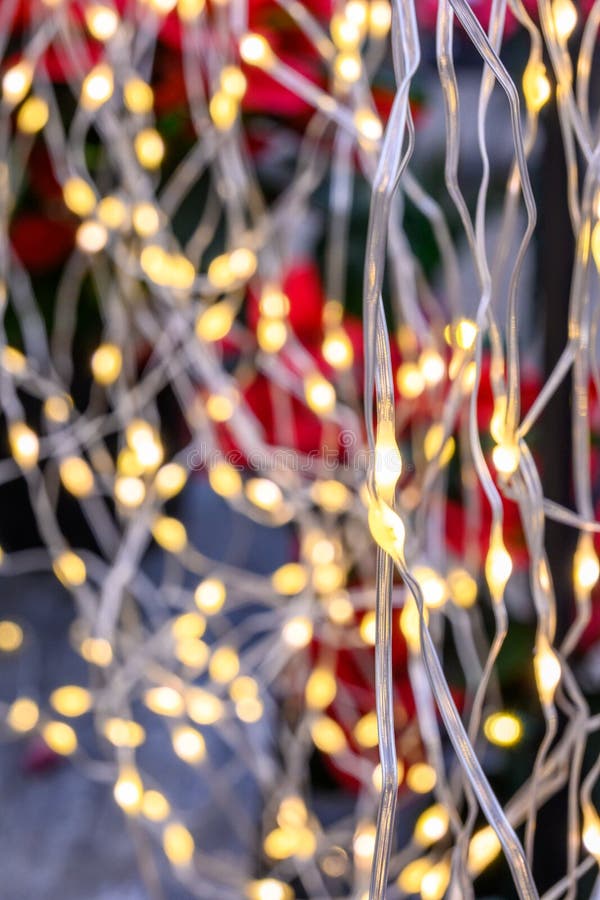 Twinkle lights stock photo. Image of festive, party, background 18506434