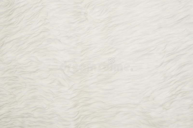 White Fur Texture Background Stock Photo, Picture and Royalty Free