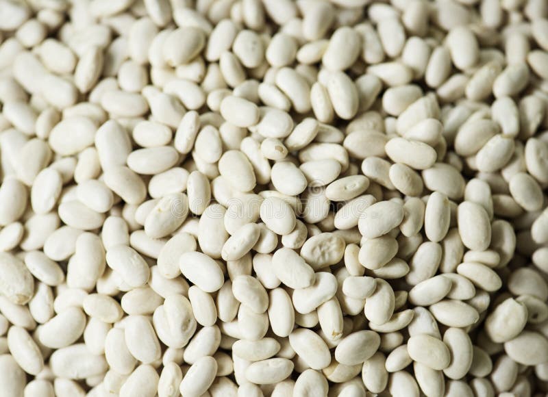 Closeup Of White Kidney Beans Product Fresh Stock Image Image of