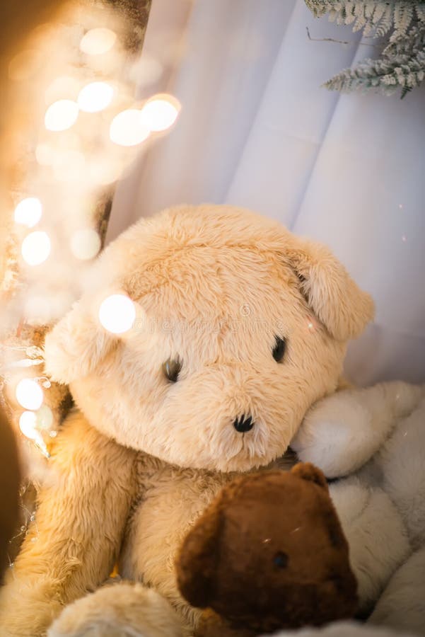 Closeup Brown and White Teddy Bears Lay with Christmas Lights Blurred ...