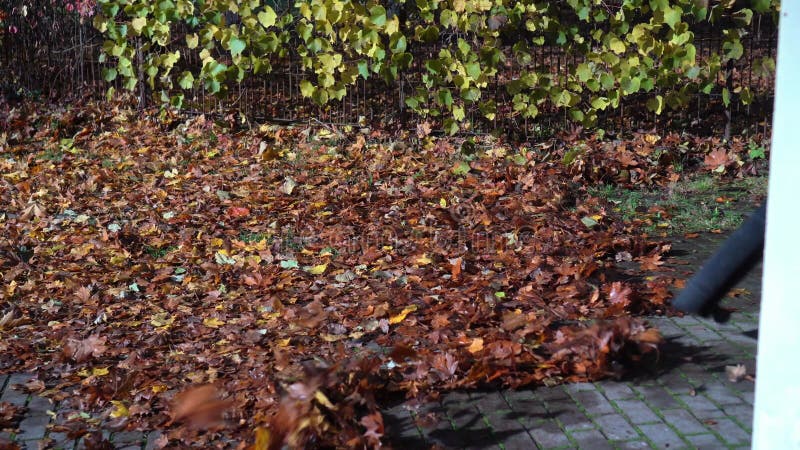 Closeup of worker with leaf blower cleaning path from leaves in autumn