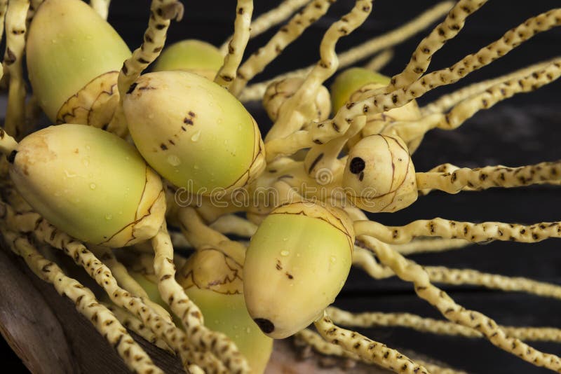 Closeup Young Yellow Coconut Fruit Stock Photo Image of group, natural 132212022
