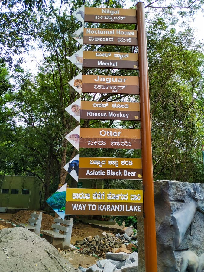 Closeup of Zoo Path and Animals Location Directions, Sign and Symbol in Mysore Zoo. Animal Names in a Kannada and English Language Editorial Photography - Image of elephant, arrow: 184165292 Closeup of Zoo Path and Animals Location Directions, Sign and Symbol in Mysore Zoo. Animal Names in a Kannada and English Language Editorial Photography - Image of elephant, arrow: 184165292