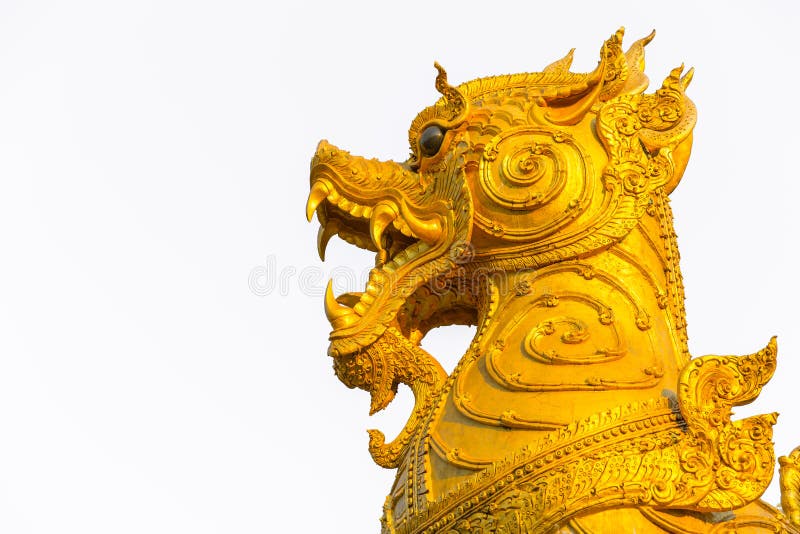 Closeuphuvud av Singha royaltyfria bilder Closeuphuvud av Singha royaltyfria bilder