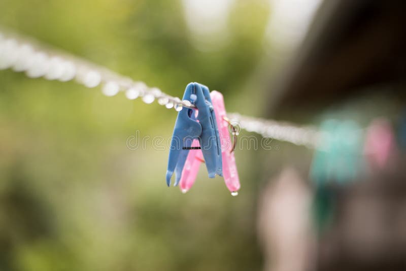 Clothes peg with water drops after rain in the morning.