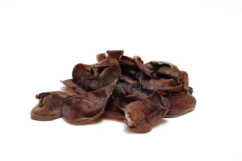 Cloud ear mushrooms isolated on a white background