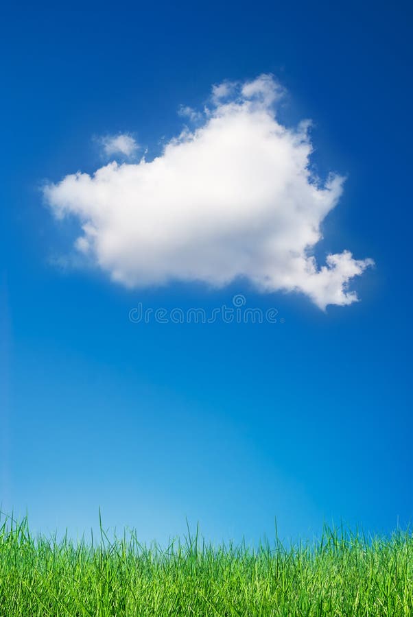 Cloud e l'erba in un giorno sereno.