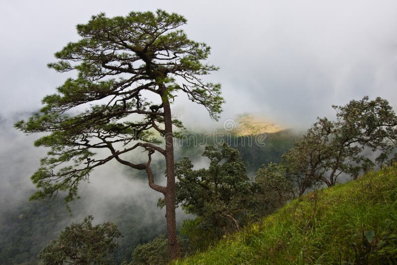 Cloud on mountain