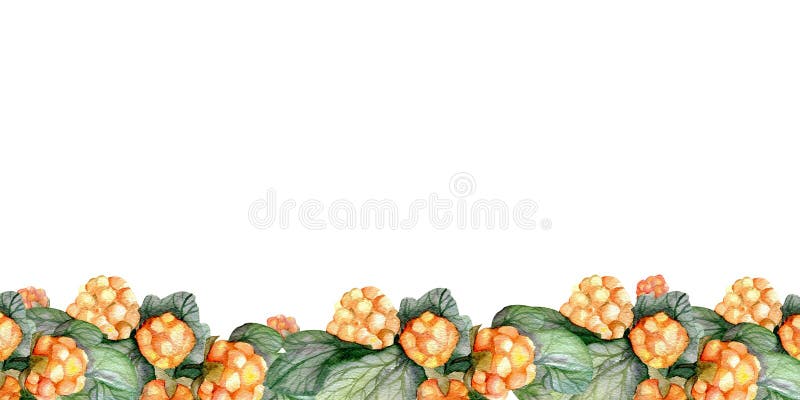 Wildberries Logo Stock Photos - Free & Royalty-Free Stock Photos from  Dreamstime