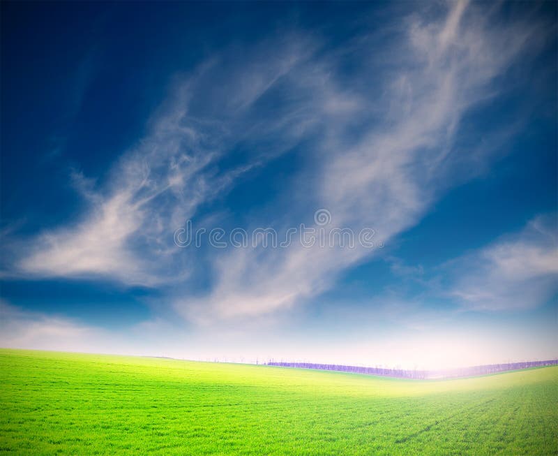 Amable nubes a través de césped verde.