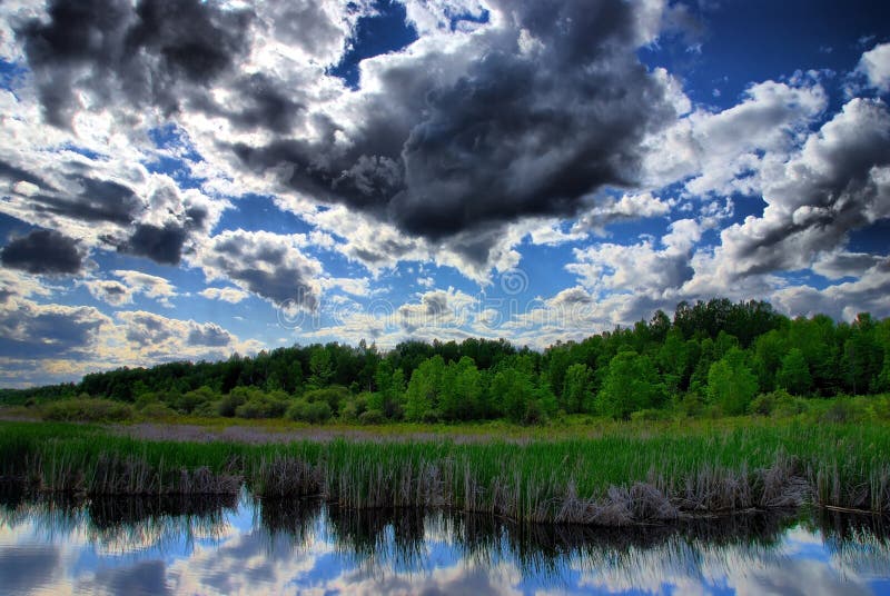 Clouds Over A Marsh