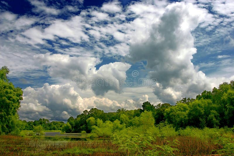 Clouds over marshland royalty free stock photos
