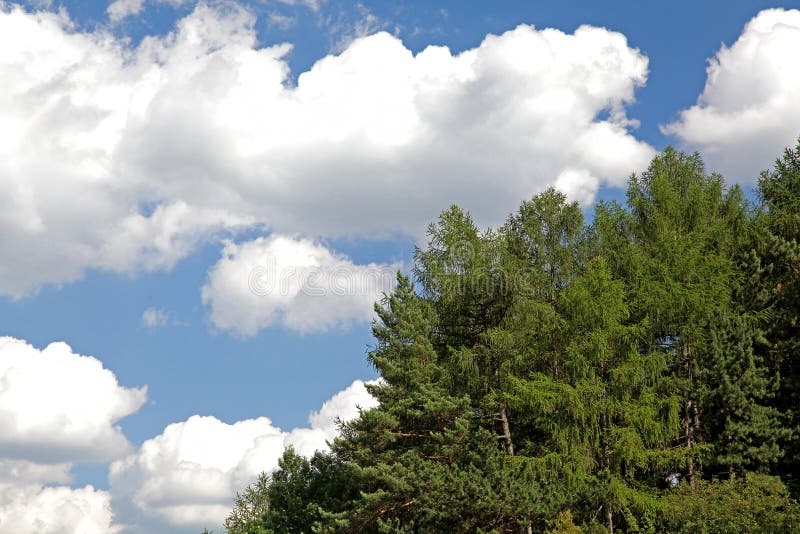 Clouds on the sky