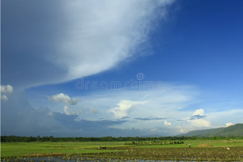  clouds skyen royaltyfria bilder