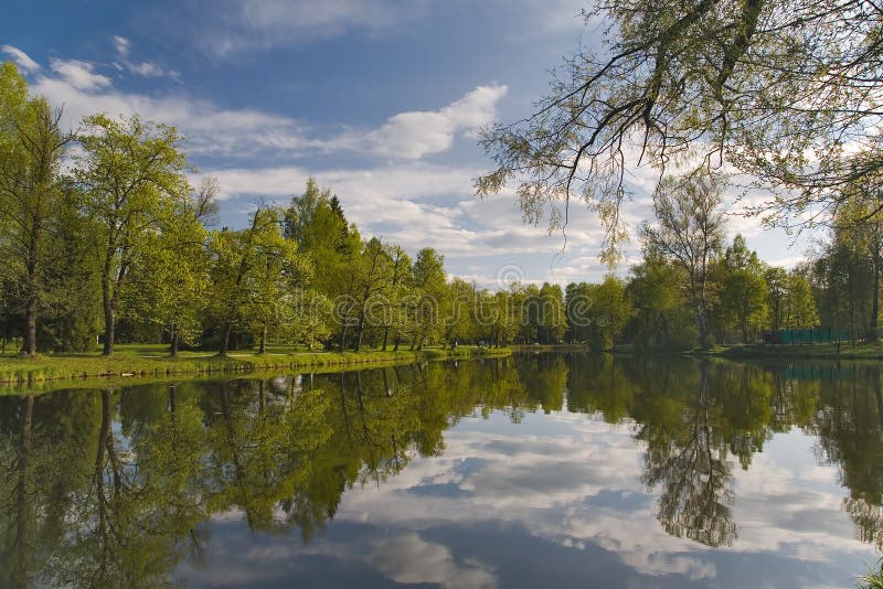 Clouds and trees reflection in pond