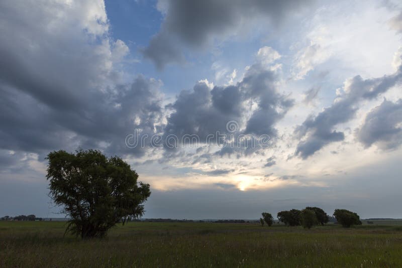 Clouds and willow trees stock image. Image of south, agriculture 78324719
