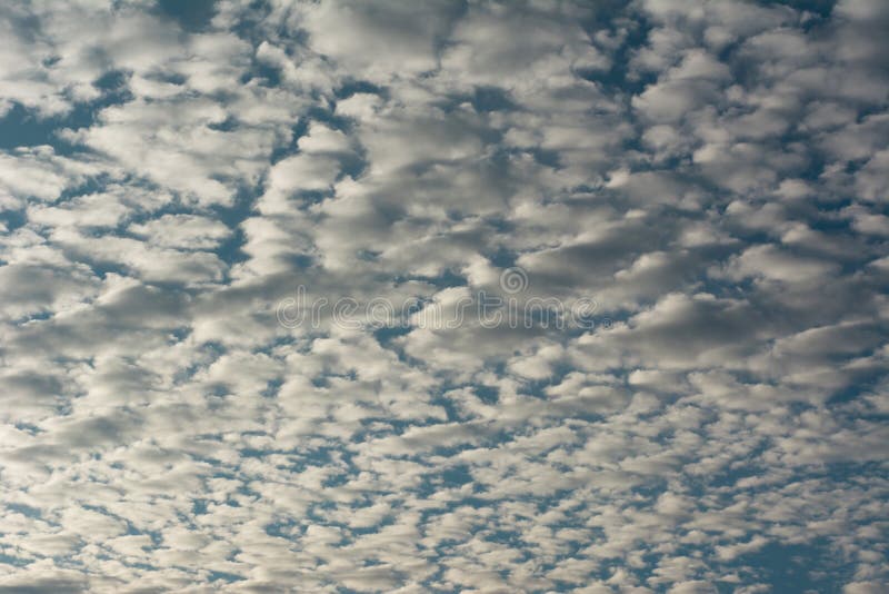 stratocumulus clouds