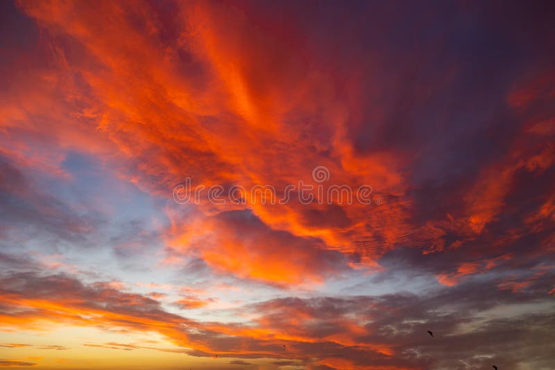 Cloudscape at Sunset. Orange Clouds at Sunset or Sunrise Stock Image