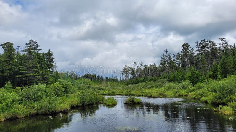 Cloudy day over mountain wetland Bog lake in summer upstate New York