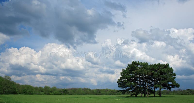 Cloudy sky over a tree royalty free stock images Cloudy sky over a tree royalty free stock images