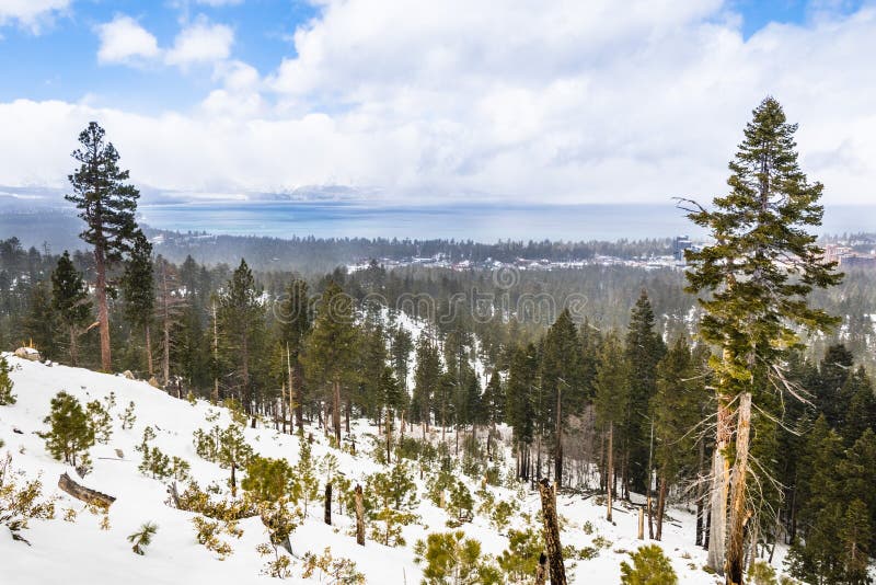 Cloudy spring day with snow covering the Sierra Mountains, Lake Tahoe in the background; Van Sickle Bi-State Park; California and