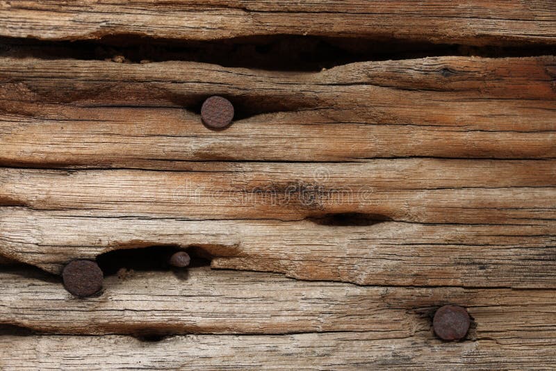 Clous rouillés en vieux bois photos stock Clous rouillés en vieux bois photos stock