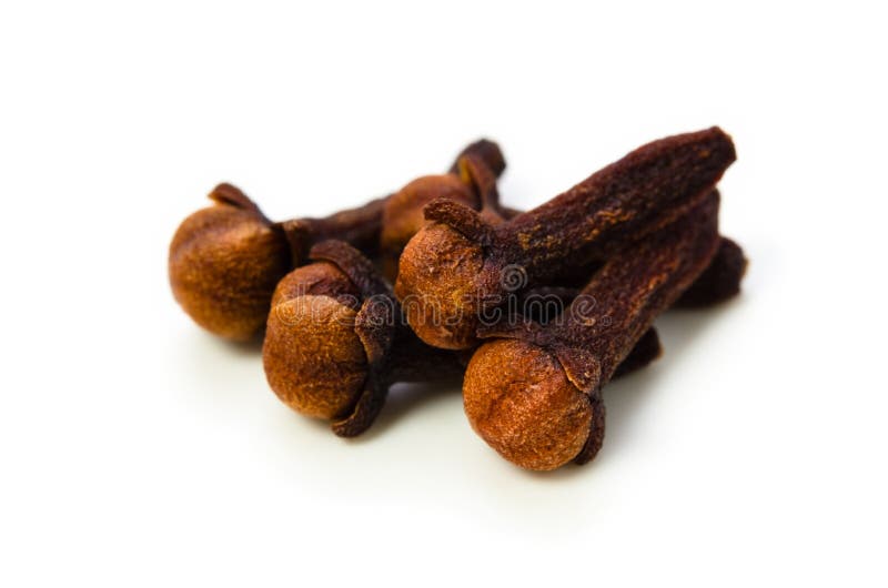 clove zdjęcie stock clove zdjęcie stock