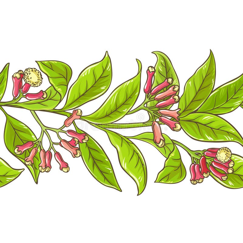 Clove branch vector pattern stock illustration