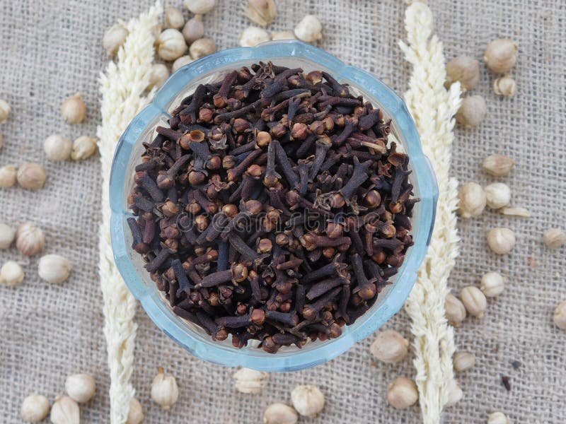 20+ Clove Seeds For Planting