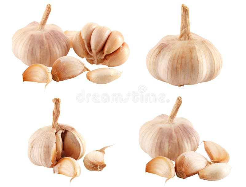 Clove garlic