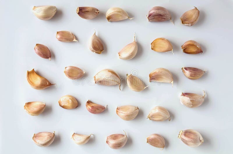 A Clove of Garlic Seeds Lies in a Row in the Soil Stock Image Image