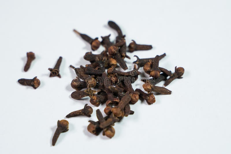 This Clove Has Many Properties To Prevent Body Diseases. Stock Image
