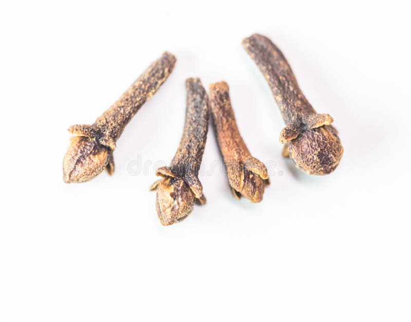 Clove Spice Isolated Food Ingredient for Flavour Stock Image Image of