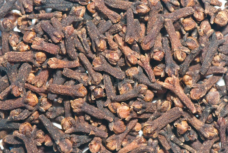 Clove spice stock image. Image of closeup, eating, cooking 31625543