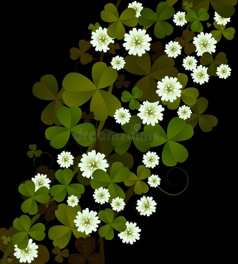 Clover background vector illustration