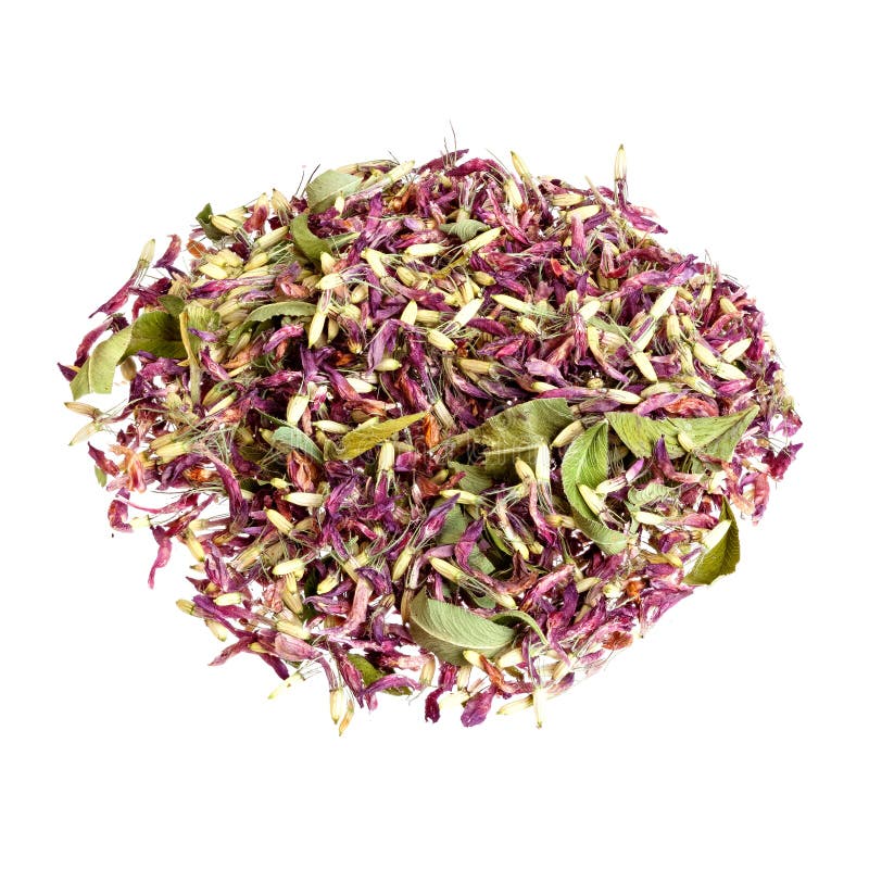 Clover Tea Isolated on a White. Stock Image Image of healthy, floral