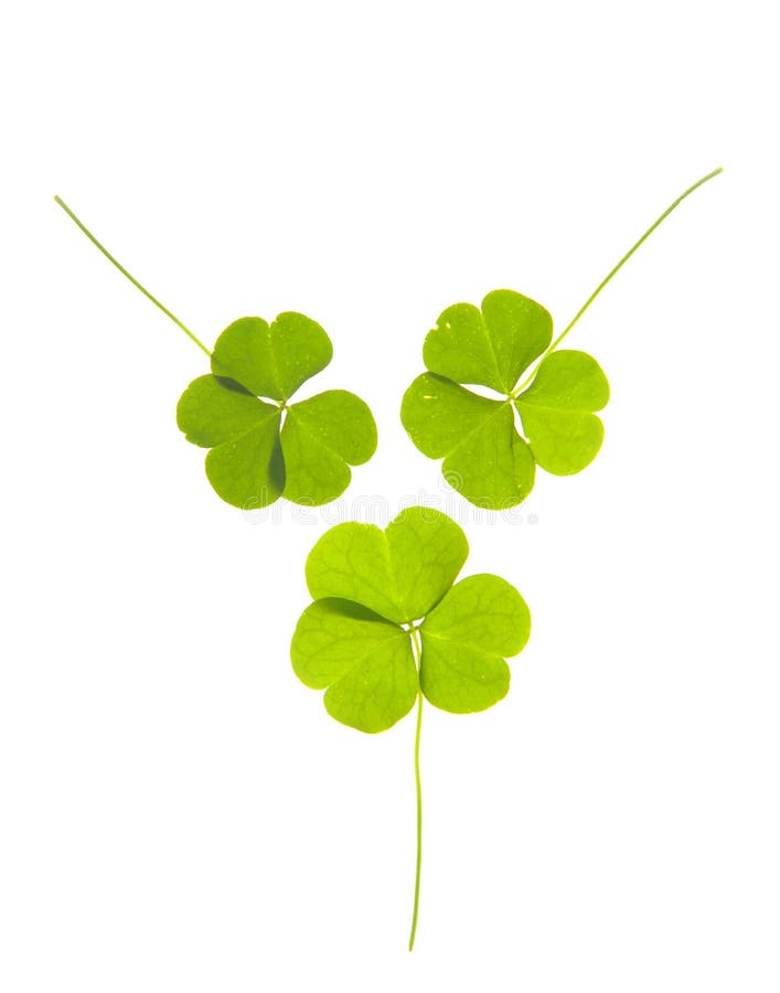 Clovers