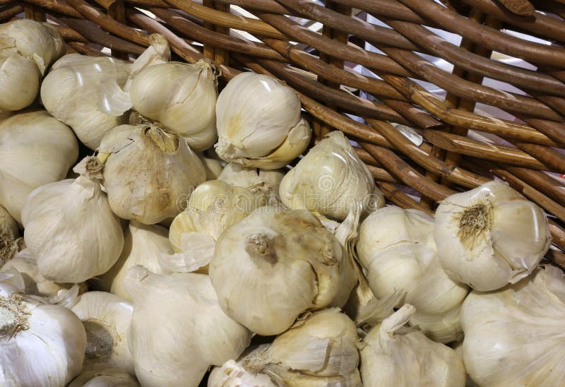 Cloves of Garlic for Sale in the Wicker Basket Stock Photo Image of