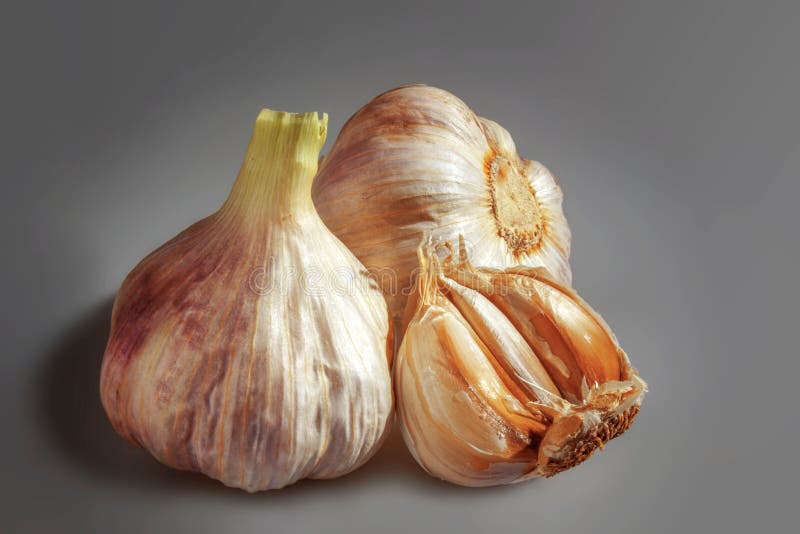 A cloves of Garlic. stock photo. Image of objects, ingredient 71271556