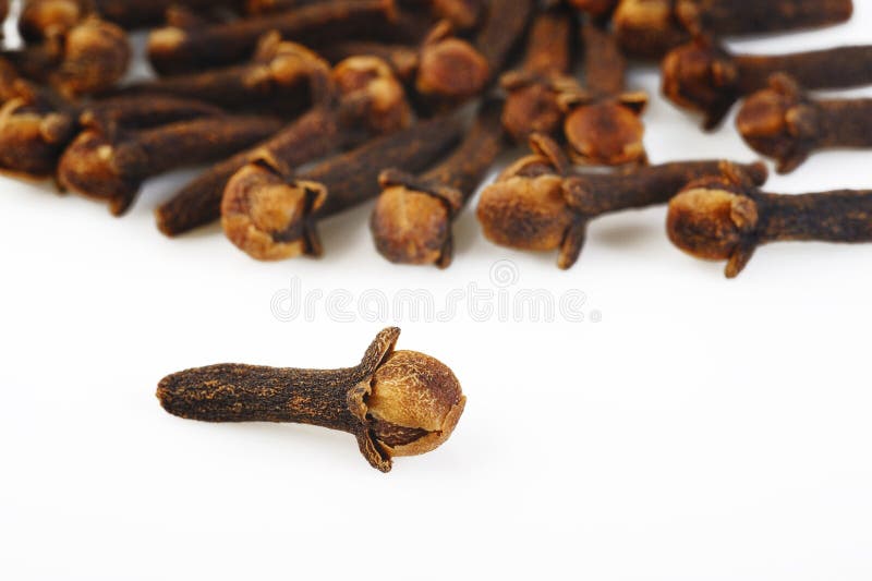 Cloves herb stock image. Image of seed, pile, herb, fresh 45696185