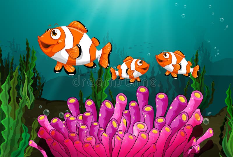 Clownfish royalty-vrije illustratie Clownfish royalty-vrije illustratie