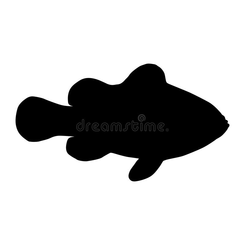 Featured image of post Black Clown Fish Silhouette Fish black fishing silhouette trout