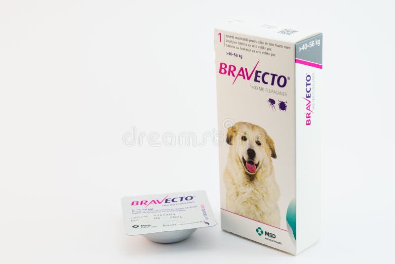 Bravecto Tablette Hund