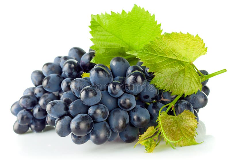 Cluster blue grapes with green leaf