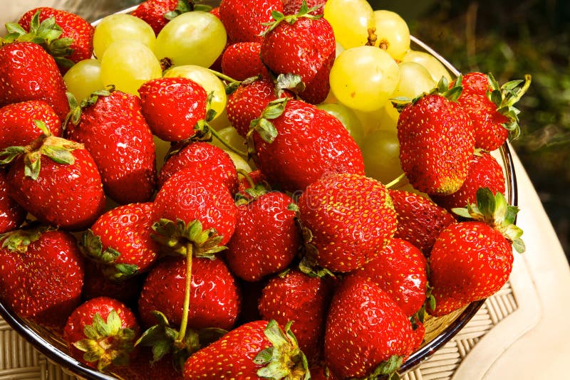 Cluster of Freshly Ripened Strawberries Stock Image Image of green