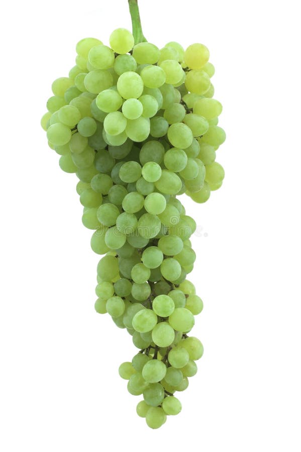 Cluster of grapes