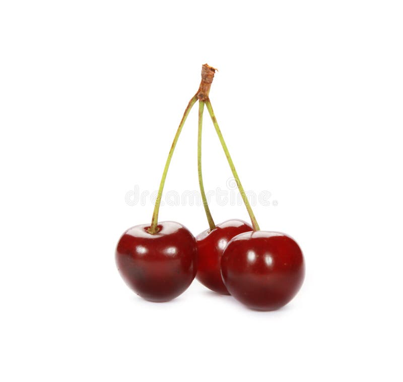 Cluster of Juicy Red Cherries Isolated on a White Background Stock